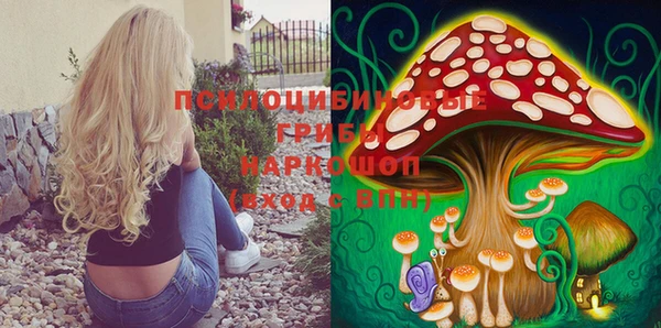спиды Богородицк