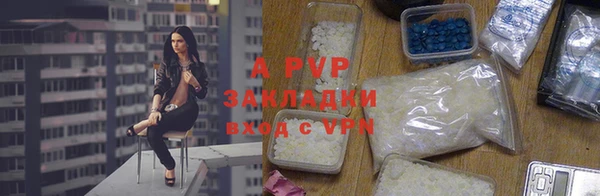 спиды Богородицк