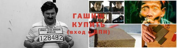 спиды Богородицк