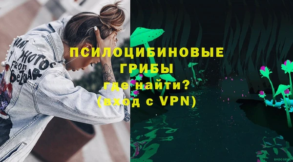 спиды Богородицк