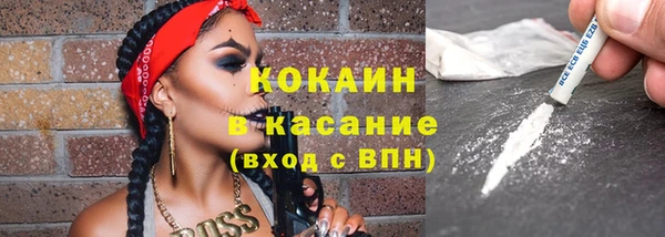 спиды Богородицк
