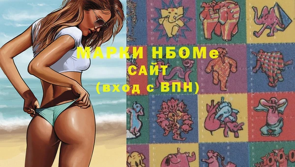 спиды Богородицк